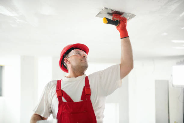 Best Eco-Friendly and Low-VOC Painting  in Milton, WI